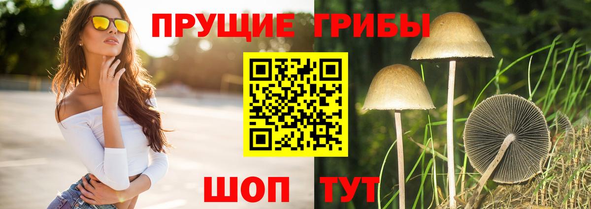 Псилоцибиновые грибы Cubensis  Вход с VPN  Бийск 